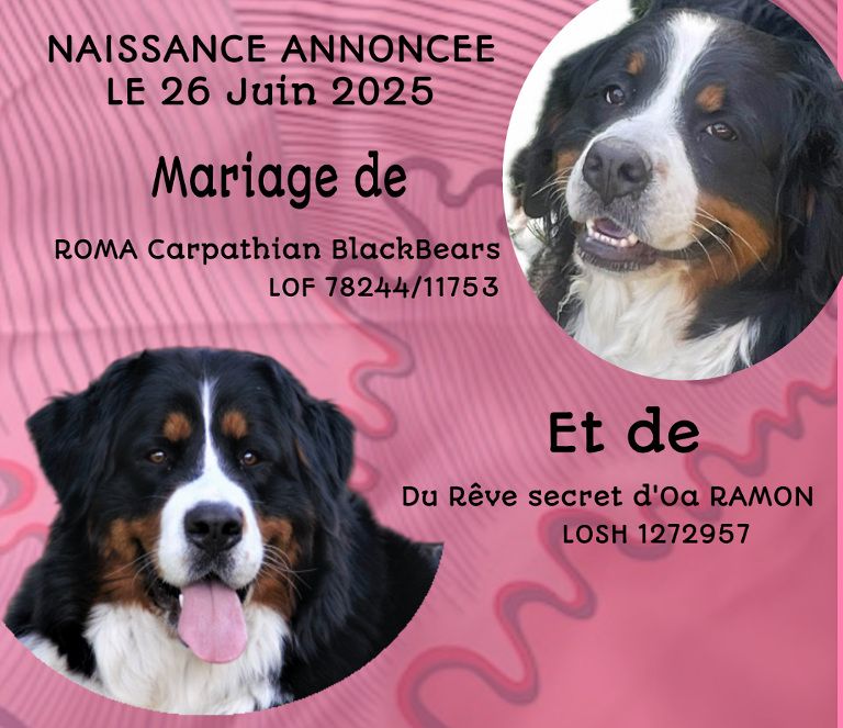 NAISSANCE Juin 2025